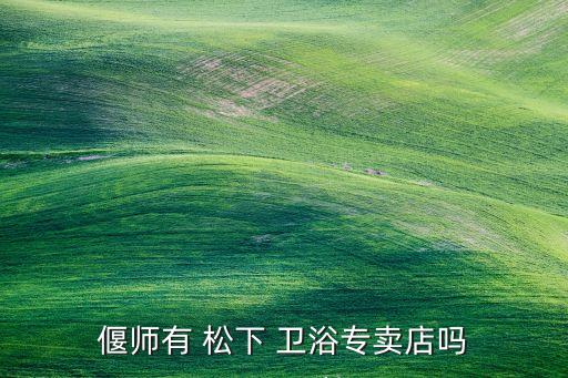 偃師有 松下 衛(wèi)浴專賣店嗎