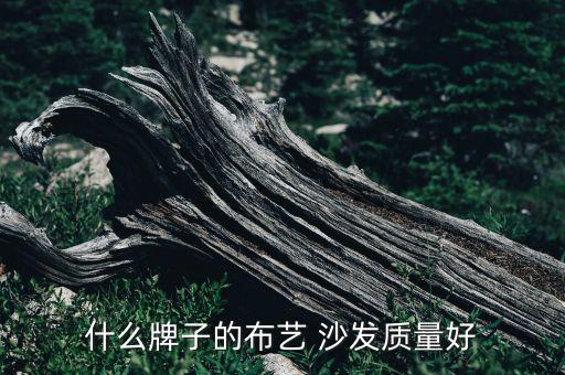 沙發(fā)推薦衛(wèi)浴店用品圖片
