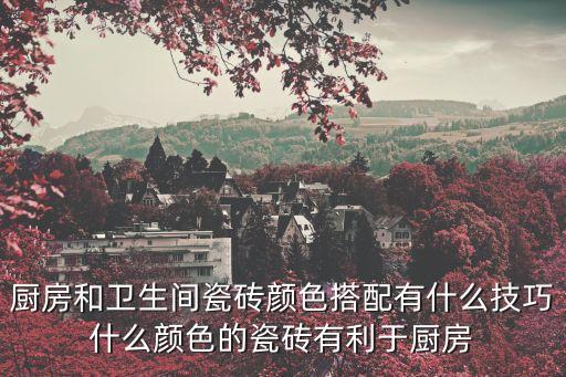 衛(wèi)浴地面花紋效果圖片