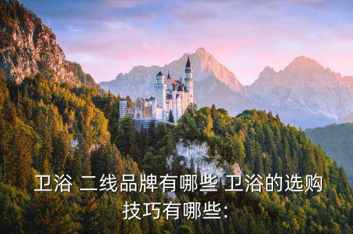 二線品牌衛(wèi)浴十大排名,衛(wèi)浴一線二線三線品牌有哪些