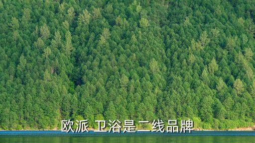 衛(wèi)浴商店門頭照片圖片,水暖衛(wèi)浴門頭圖片大全