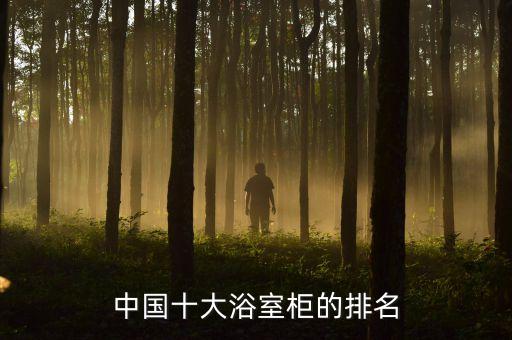 衛(wèi)浴效果圖三維設(shè)計(jì)圖片,衛(wèi)浴裝修效果圖大全2013圖片