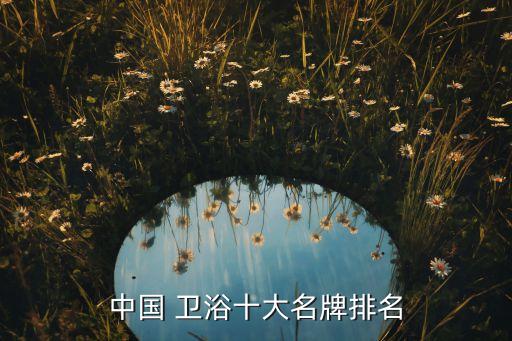 中國 衛(wèi)浴十大名牌排名