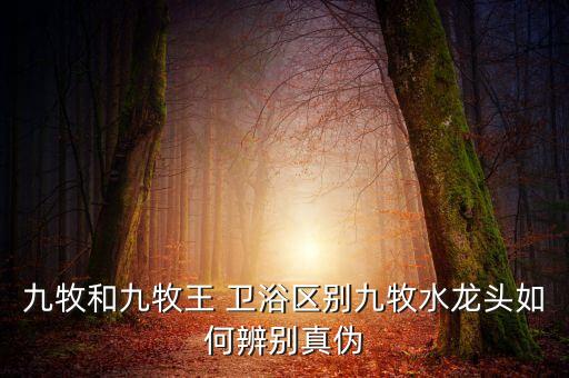 如何區(qū)分真正的品牌衛(wèi)浴