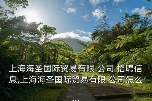 上海海圣國際貿(mào)易有限 公司 招聘信息,上海海圣國際貿(mào)易有限 公司怎么...
