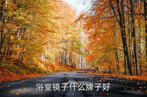 浴室鏡子什么牌子好