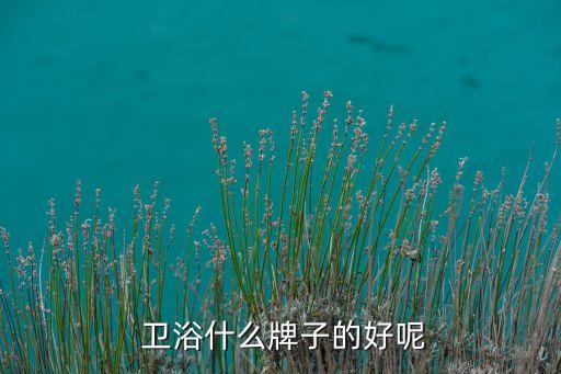  衛(wèi)浴什么牌子的好呢