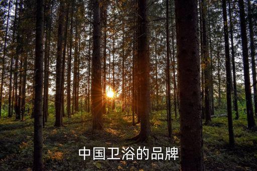 中國(guó)衛(wèi)浴的品牌