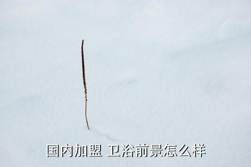 品牌衛(wèi)浴店面怎么賺錢