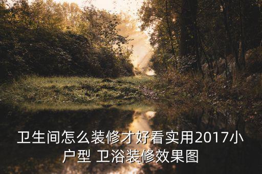 衛(wèi)生間怎么裝修才好看實(shí)用2017小戶型 衛(wèi)浴裝修效果圖