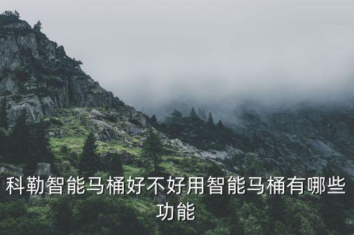 科勒智能馬桶好不好用智能馬桶有哪些功能