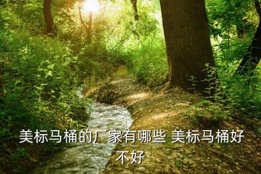  美標(biāo)馬桶的廠家有哪些 美標(biāo)馬桶好不好