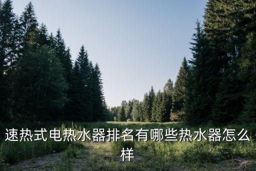 即熱式采暖衛(wèi)浴品牌排行