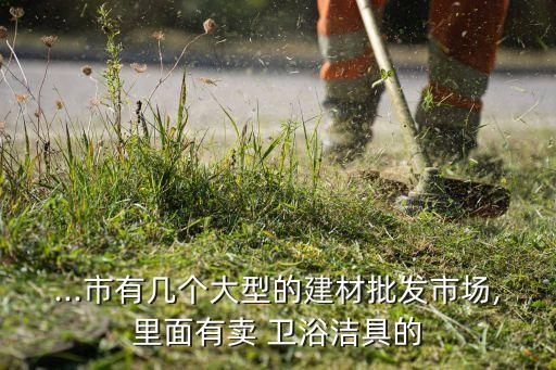 ...市有幾個大型的建材批發(fā)市場,里面有賣 衛(wèi)浴潔具的
