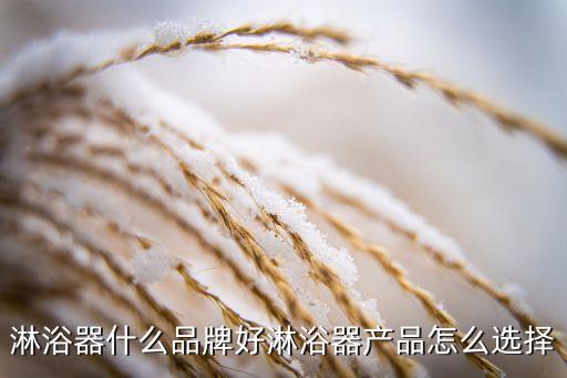 上海衛(wèi)浴網(wǎng)上品牌店鋪