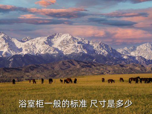 浴室柜一般的標(biāo)準(zhǔn) 尺寸是多少