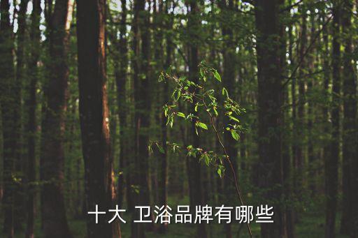衛(wèi)浴五金品牌前十大排名榜圖片,五金衛(wèi)浴包括哪些