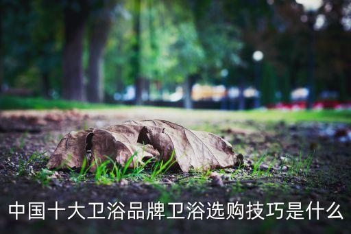 中國十大衛(wèi)浴品牌衛(wèi)浴選購技巧是什么