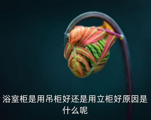 浴室柜是用吊柜好還是用立柜好原因是什么呢