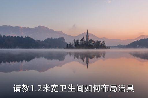 請教1.2米寬衛(wèi)生間如何布局潔具
