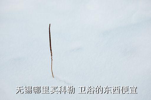  無錫哪里買科勒 衛(wèi)浴的東西便宜