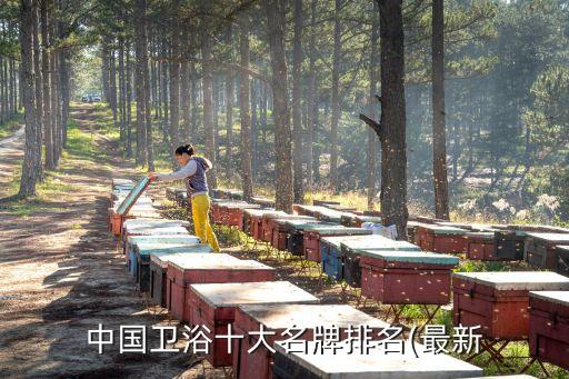中國(guó)衛(wèi)浴十大名牌排名(最新