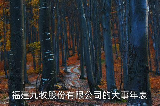 福建九牧股份有限公司的大事年表