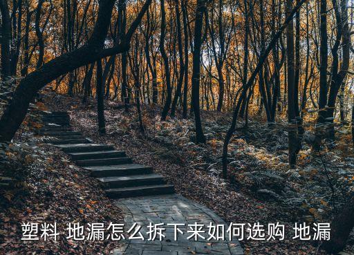 嘉居衛(wèi)浴地漏價格圖片