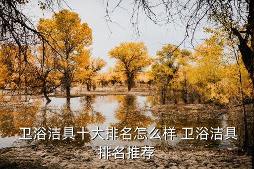  衛(wèi)浴潔具十大排名怎么樣 衛(wèi)浴潔具排名推薦