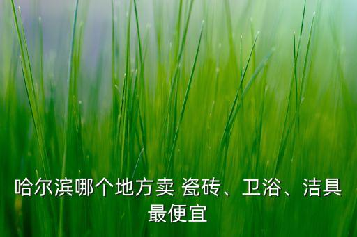哈爾濱哪個地方賣 瓷磚、衛(wèi)浴、潔具最便宜