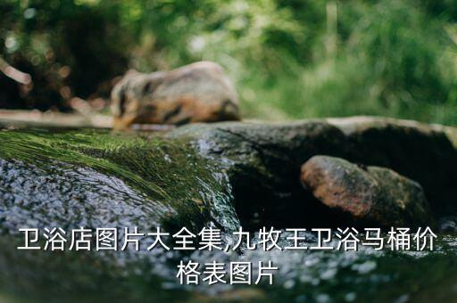馬桶衛(wèi)浴店圖片大全集,九牧王衛(wèi)浴馬桶價(jià)格表圖片