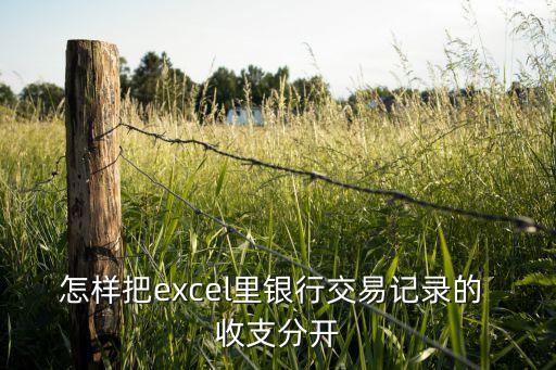 怎樣把excel里銀行交易記錄的 收支分開