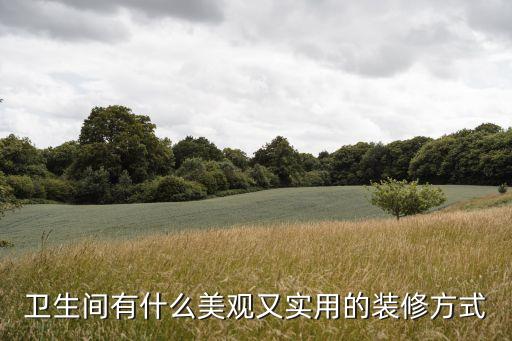 衛(wèi)浴有門壁龕嗎圖片大全