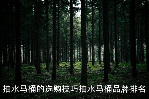 納蒂蘭卡衛(wèi)浴是幾線品牌