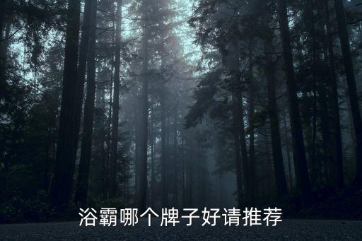 浴霸哪個牌子好請推薦