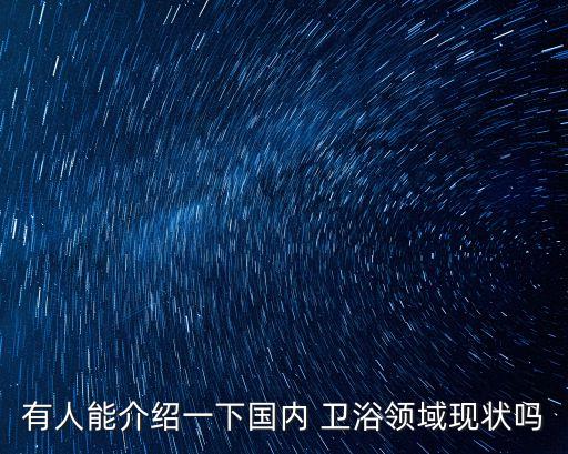 有人能介紹一下國內(nèi) 衛(wèi)浴領(lǐng)域現(xiàn)狀嗎