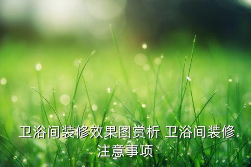  衛(wèi)浴間裝修效果圖賞析 衛(wèi)浴間裝修注意事項(xiàng)