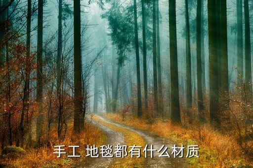 地毯衛(wèi)浴門(mén)口圖片,大廳門(mén)口地毯圖片大全