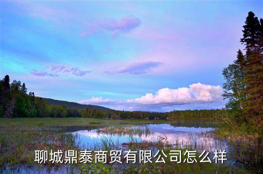 聊城鼎泰商貿(mào)有限公司怎么樣