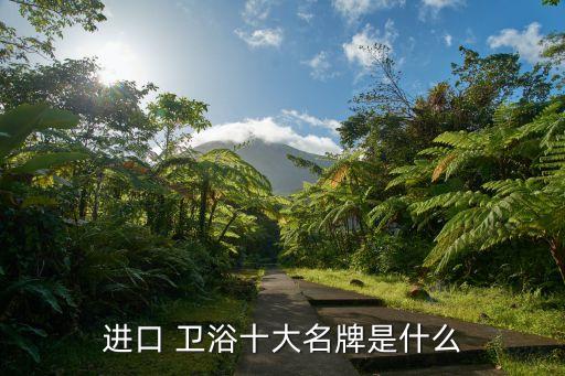 進(jìn)口 衛(wèi)浴十大名牌是什么
