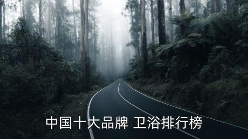 衛(wèi)浴性價(jià)比排名品牌前十名,十大品牌衛(wèi)浴排名前十名500強(qiáng)