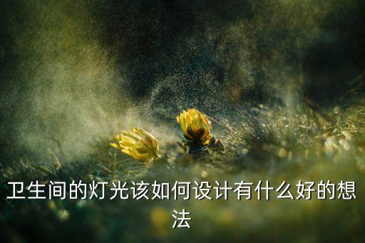 衛(wèi)生間的燈光該如何設(shè)計有什么好的想法