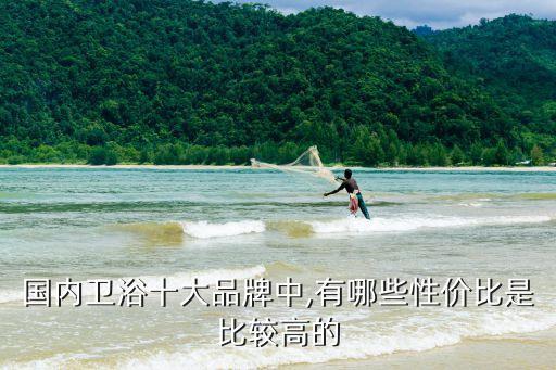 國內(nèi)衛(wèi)浴十大品牌中,有哪些性價比是比較高的