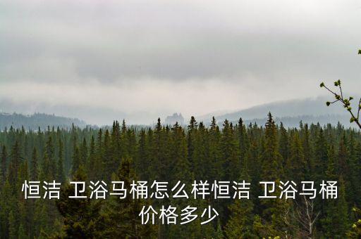 恒潔 衛(wèi)浴馬桶怎么樣恒潔 衛(wèi)浴馬桶價(jià)格多少