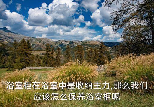 衛(wèi)浴貨物整理圖片素材大全