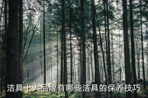 潔具十大品牌有哪些潔具的保養(yǎng)技巧