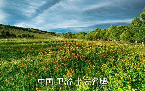 中國(guó) 衛(wèi)浴 十大名牌