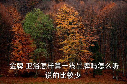  金牌 衛(wèi)浴怎樣算一線品牌嗎怎么聽說的比較少