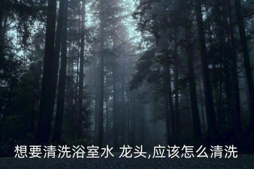 衛(wèi)浴龍頭去銹方法圖片