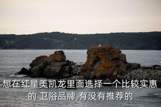 想在紅星美凱龍里面選擇一個比較實惠的 衛(wèi)浴品牌,有沒有推薦的